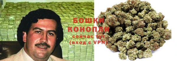 спайс Михайлов