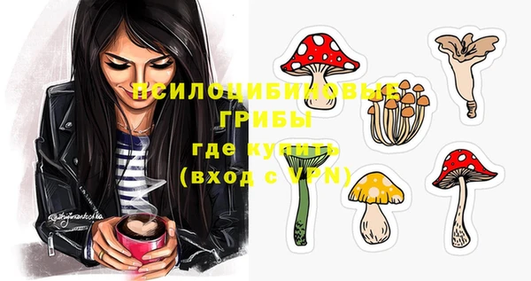 МДПВ Михайловск