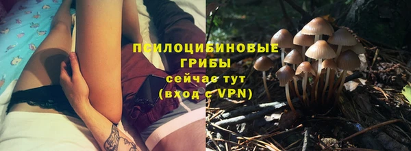 MDMA Premium VHQ Михайловка